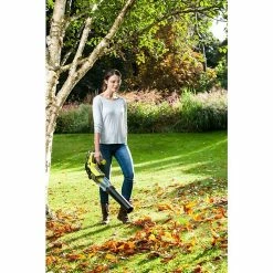 BAUHAUS Ryobi ONE+ Akku-Laubbläser OBL18JB 18 V, Li-Ionen, Ohne Akku, Blasgeschwindigkeit: 160 Km/h -Bosch Shop 12 1468