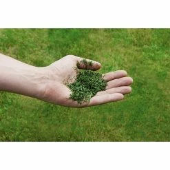 BAUHAUS Einhell Power X-Change Akku-Rasenmäher GE-CM 36/43 Li M 18 V, 2 Akkus, 4 Ah, Schnittbreite: 43 Cm -Bosch Shop 12 843